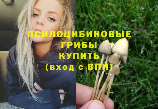 трава Киренск