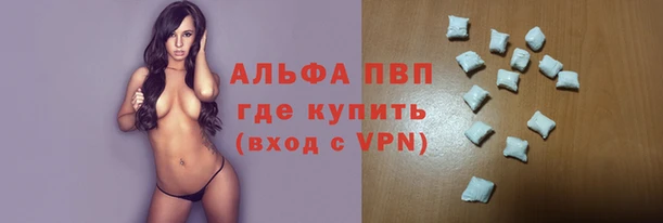 ГАЛЛЮЦИНОГЕННЫЕ ГРИБЫ Кедровый