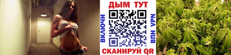где купить наркоту  Михайловка  Бошки марихуана гибрид 